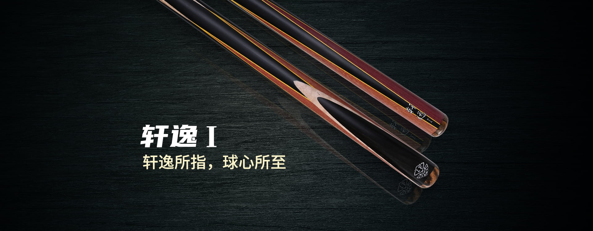 轩逸1 2025新品(图1)