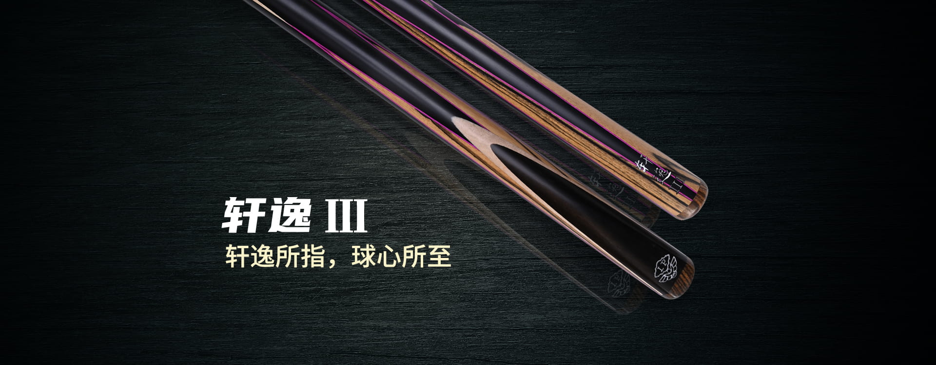 轩逸3 2025新品(图1)