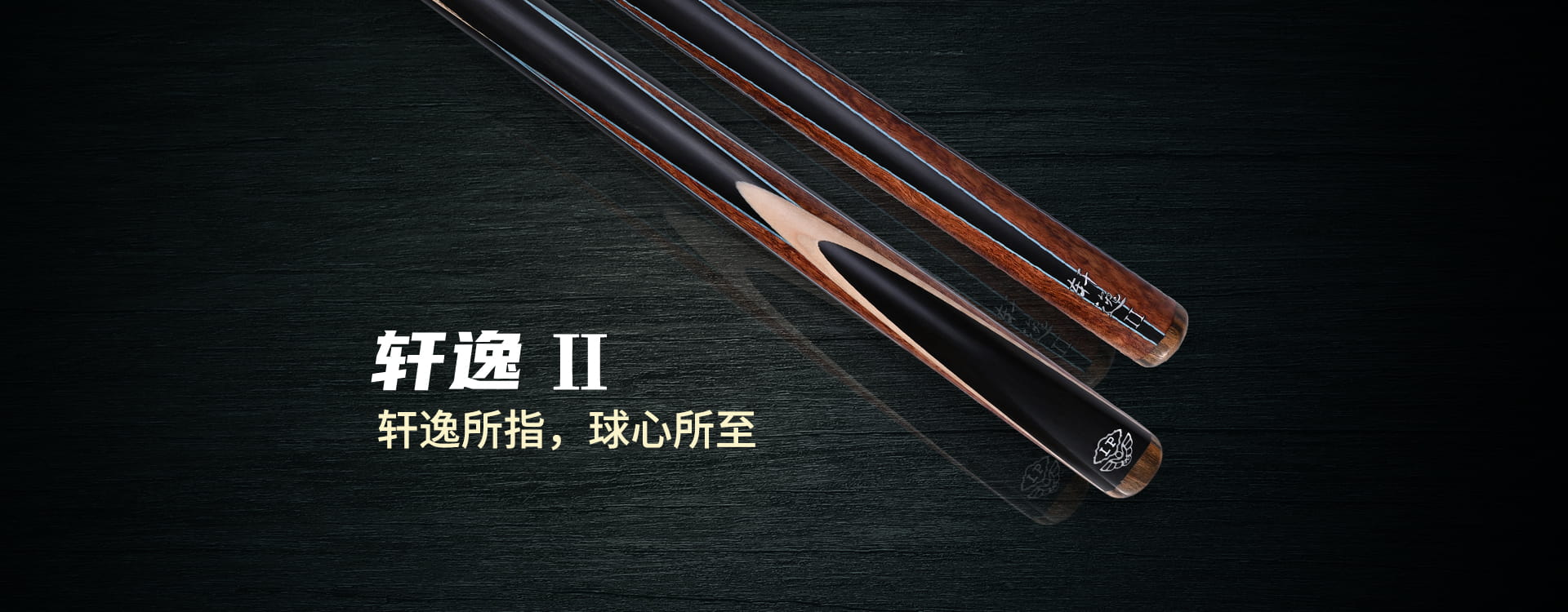 轩逸2 2025新品(图1)